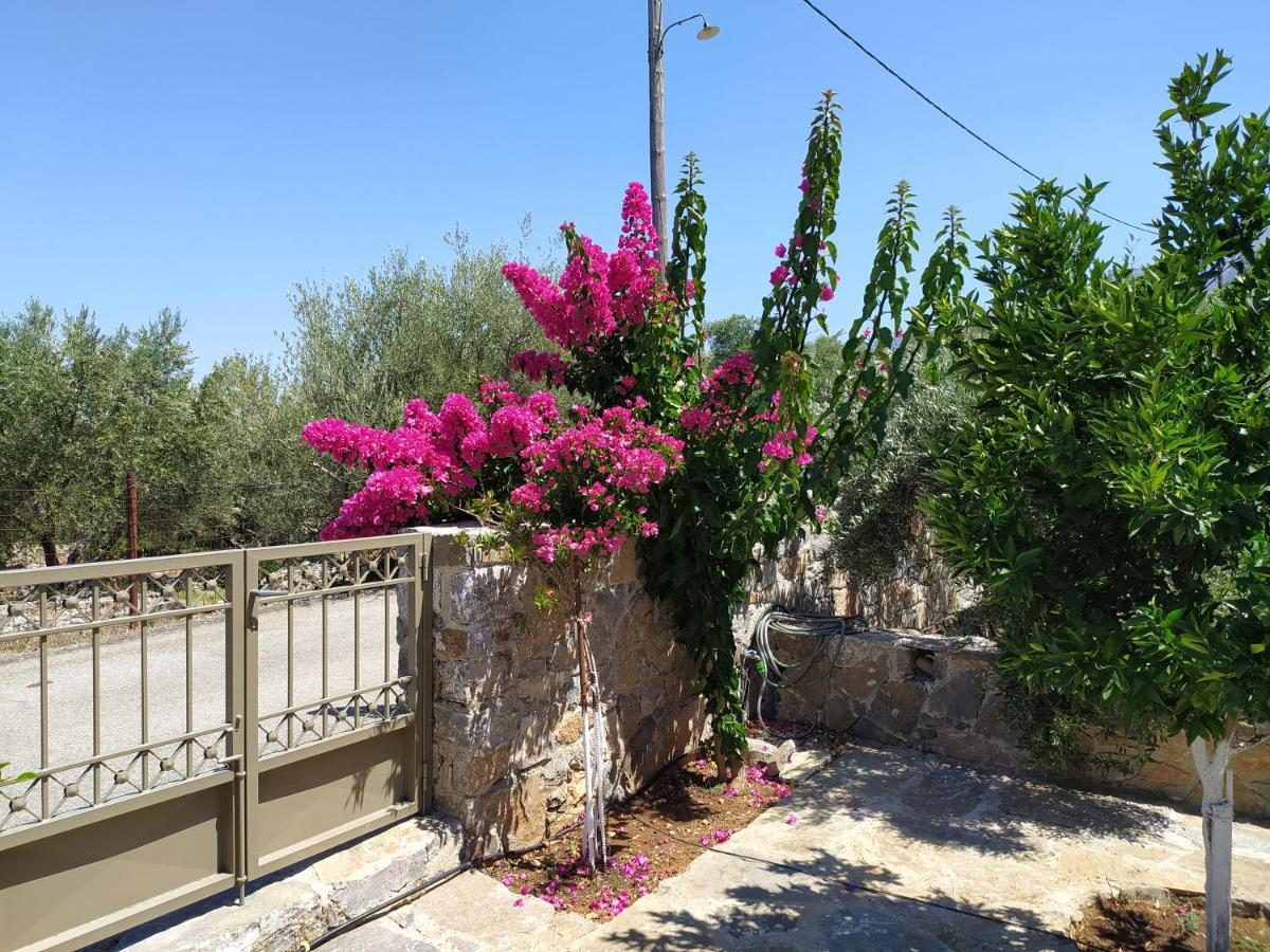 "Villa Kastania" Melidoni, Chania, Crete المظهر الخارجي الصورة