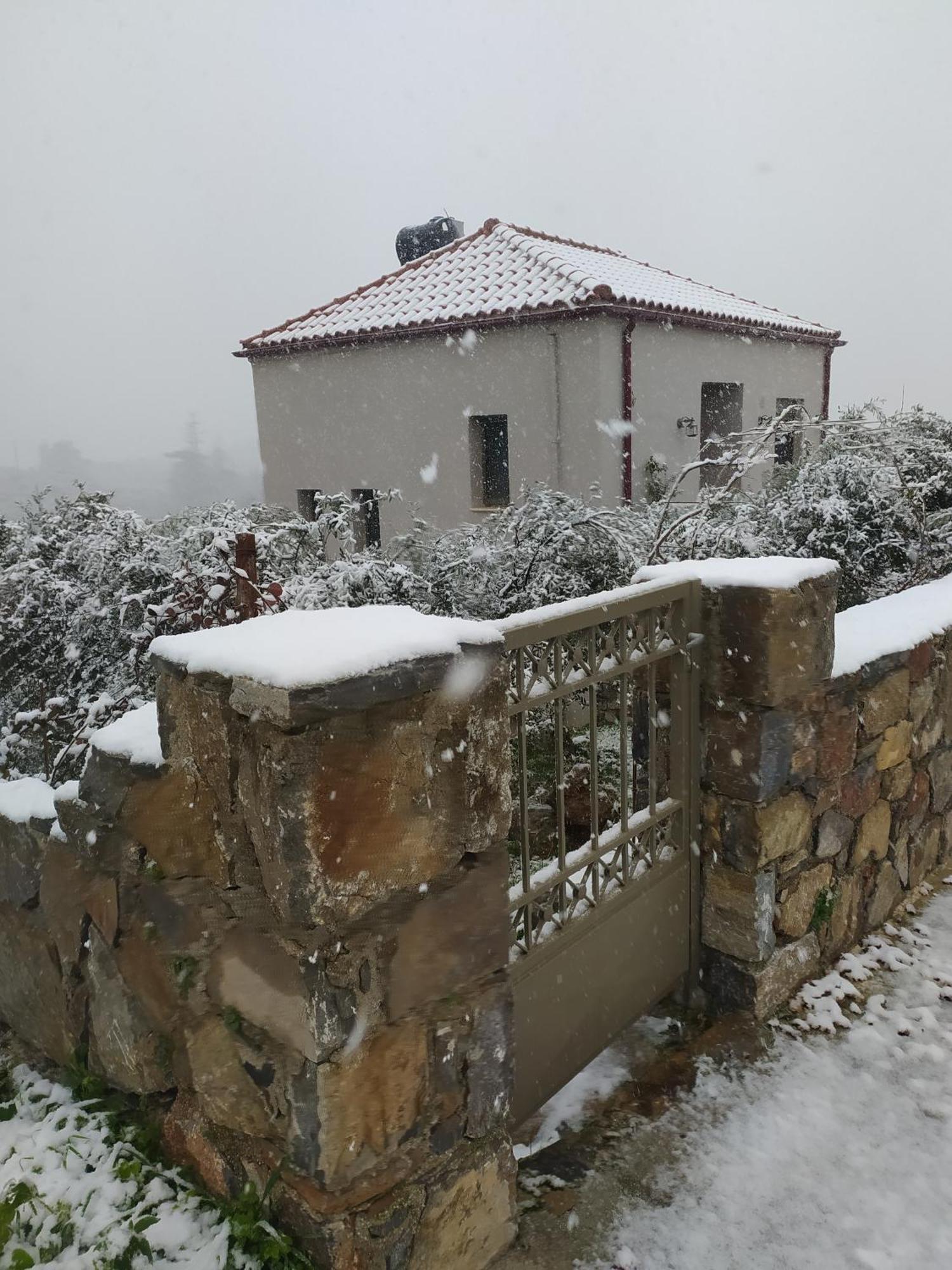 "Villa Kastania" Melidoni, Chania, Crete المظهر الخارجي الصورة