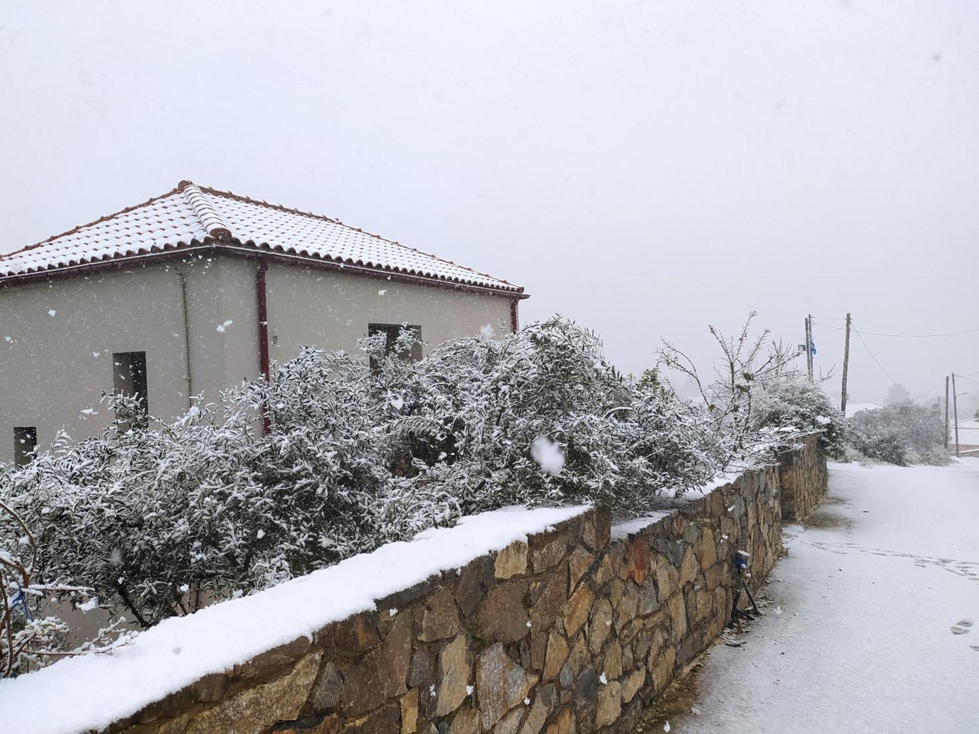 "Villa Kastania" Melidoni, Chania, Crete المظهر الخارجي الصورة